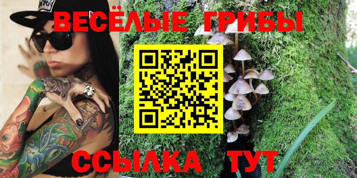 наркошоп  Вход с VPN  Ставрополь  Псилоцибиновые грибы мухоморы 